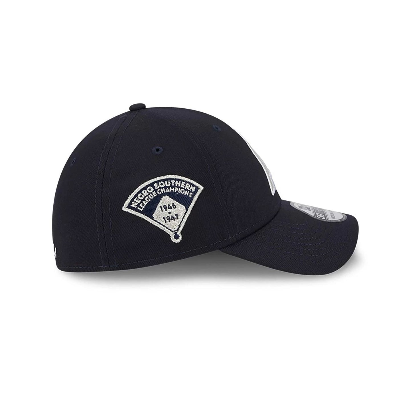 This is a Asheville Tourists MiLB Theme Nights Blue 39THIRTY Stretch Fit Cap 5