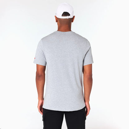 The Male model is wearing NFL Shield Logo NFL Grey T-Shirt 7