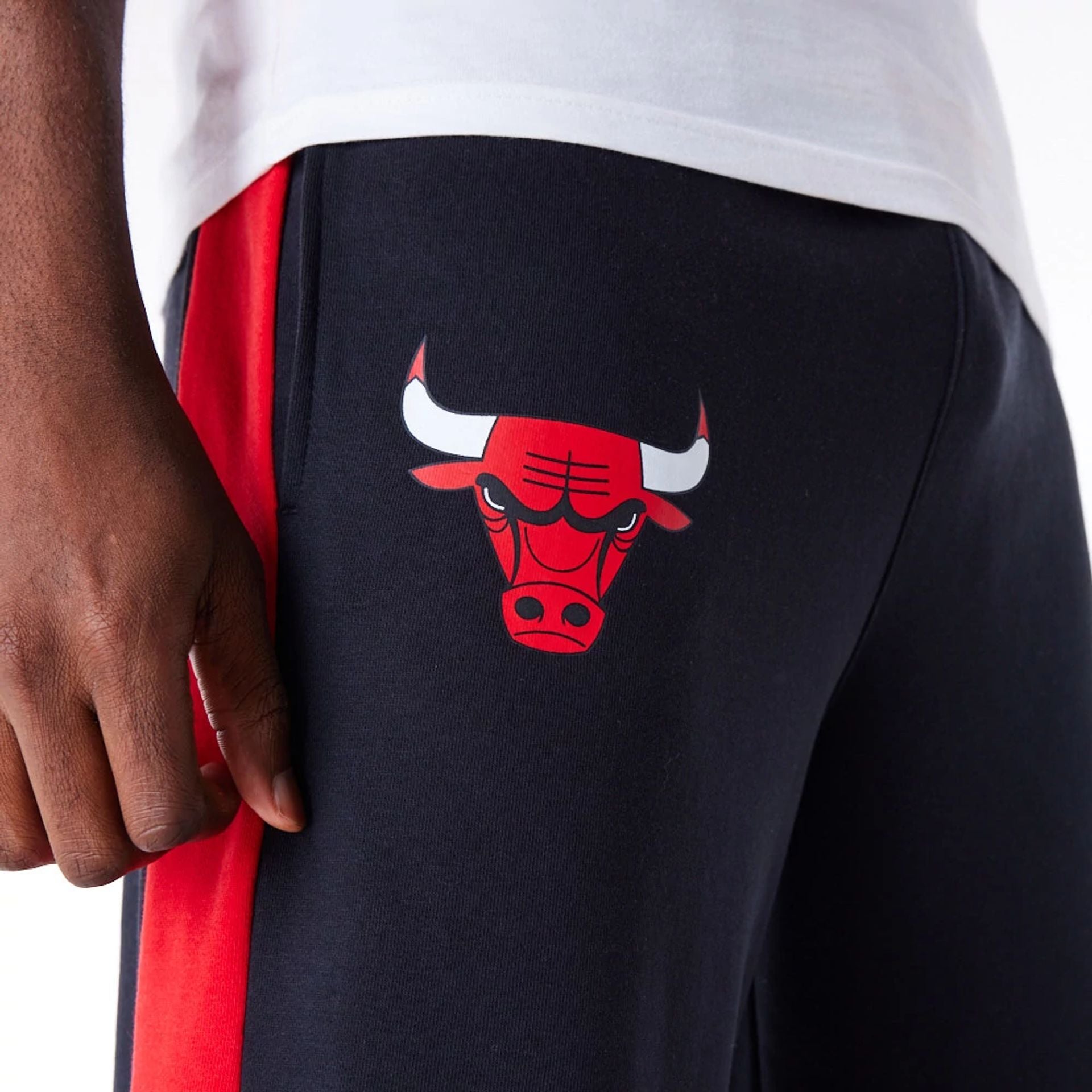 The Male model is wearing Chicago Bulls NBA Panel Black Fleece Joggers  2