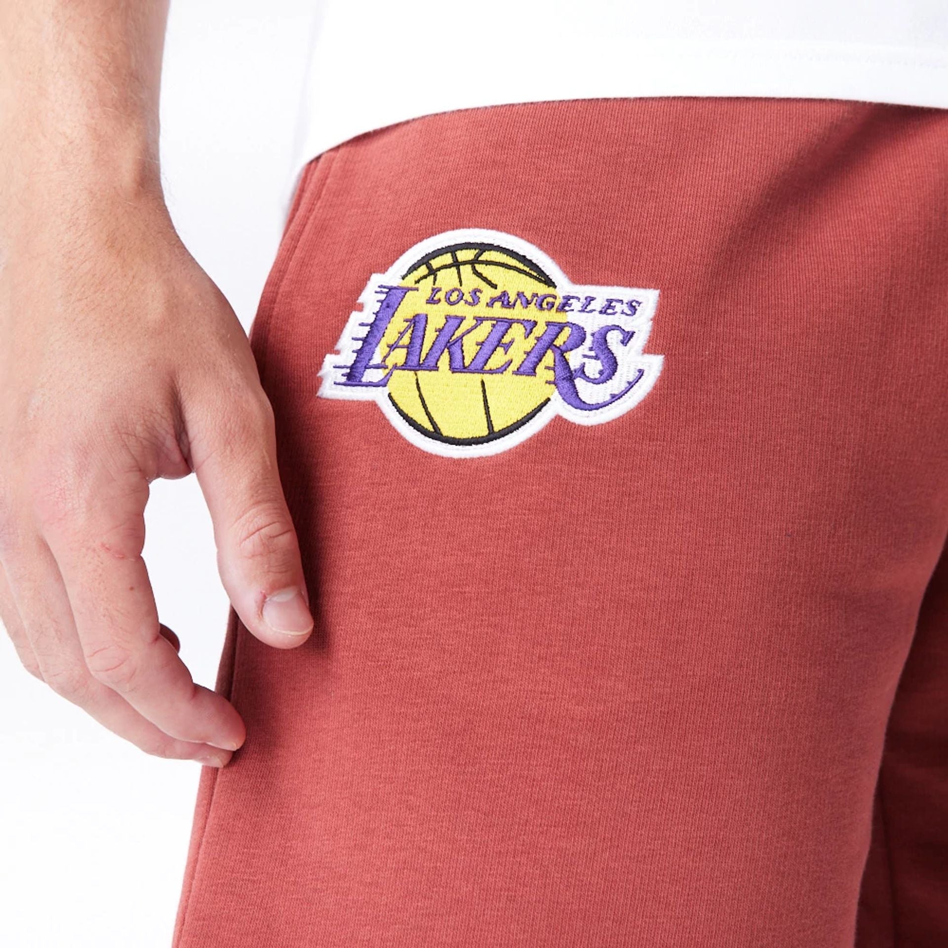 The Male model is wearing LA Lakers League Essential Brown Shorts  7