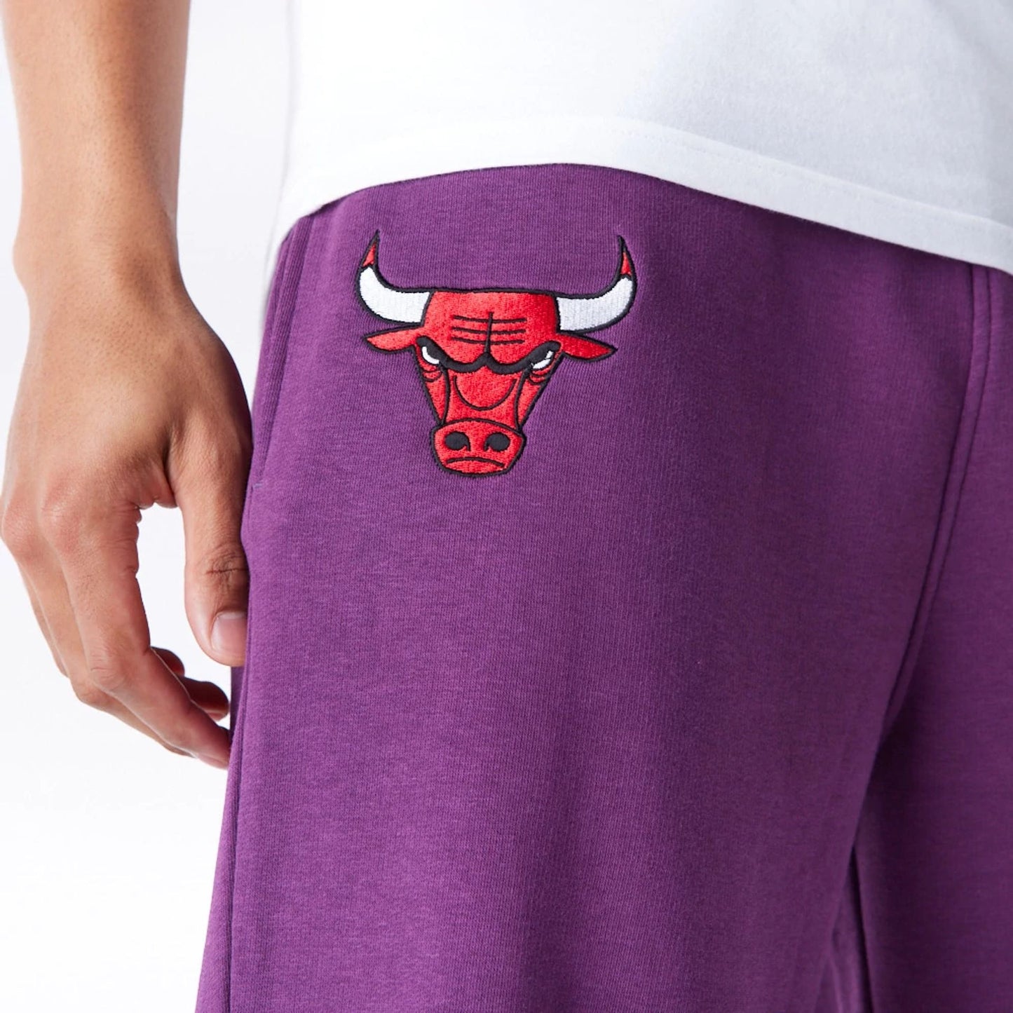 The Male model is wearing Chicago Bulls League Essential Dark Purple Track Joggers  6