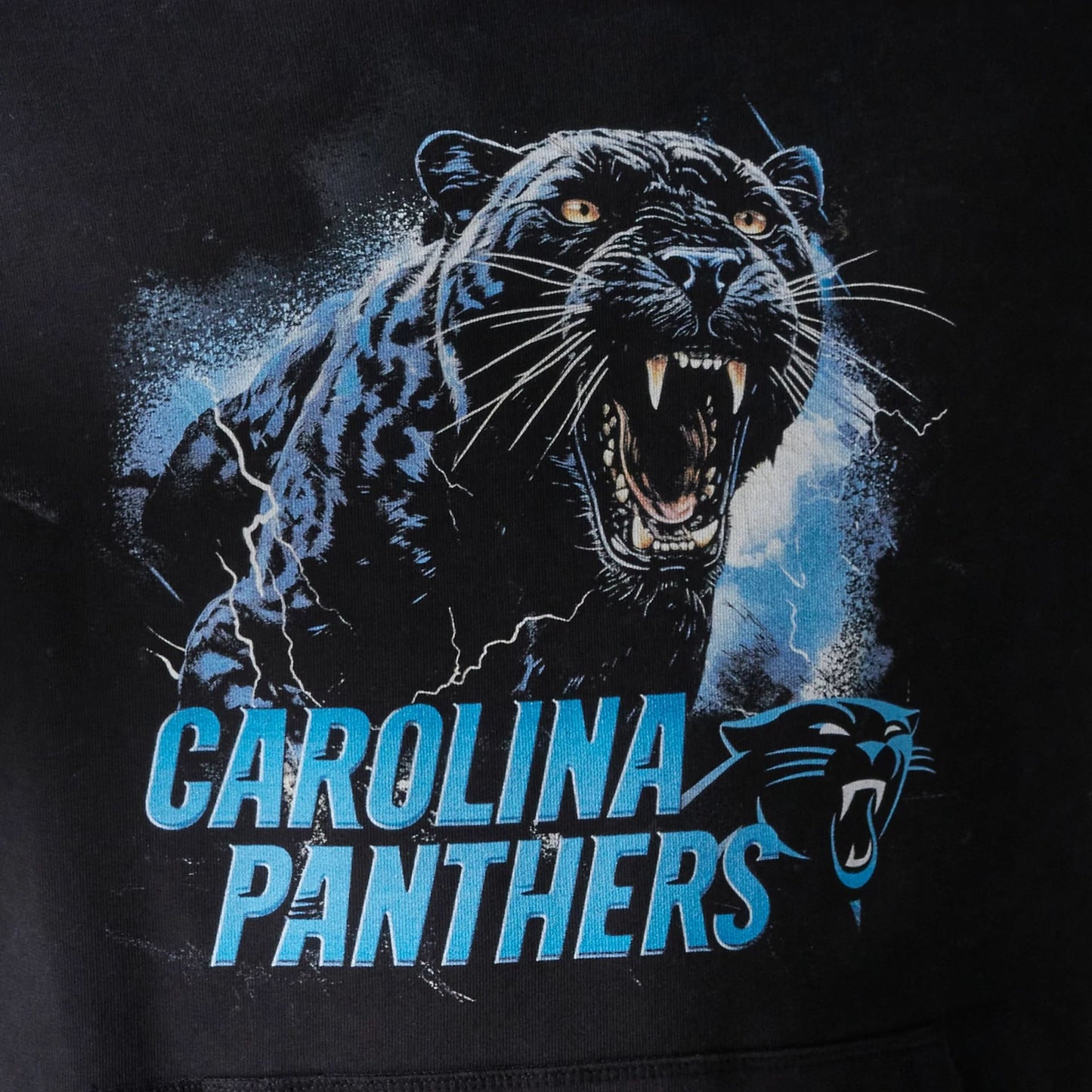 The Male model is wearing Carolina Panthers NFL Games Premium Apparel Black Oversized Pullover Hoodie 5